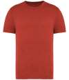 NS315 Native Spirit Unisex Faded T-Shirt Washed Paprika colour image